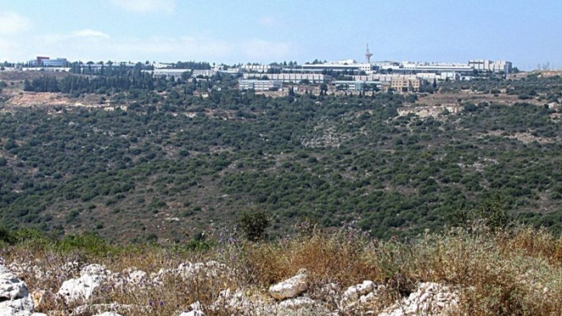 Предпринимателям Западной Галилеи: зона для совместной работы в Мигдаль Тефен