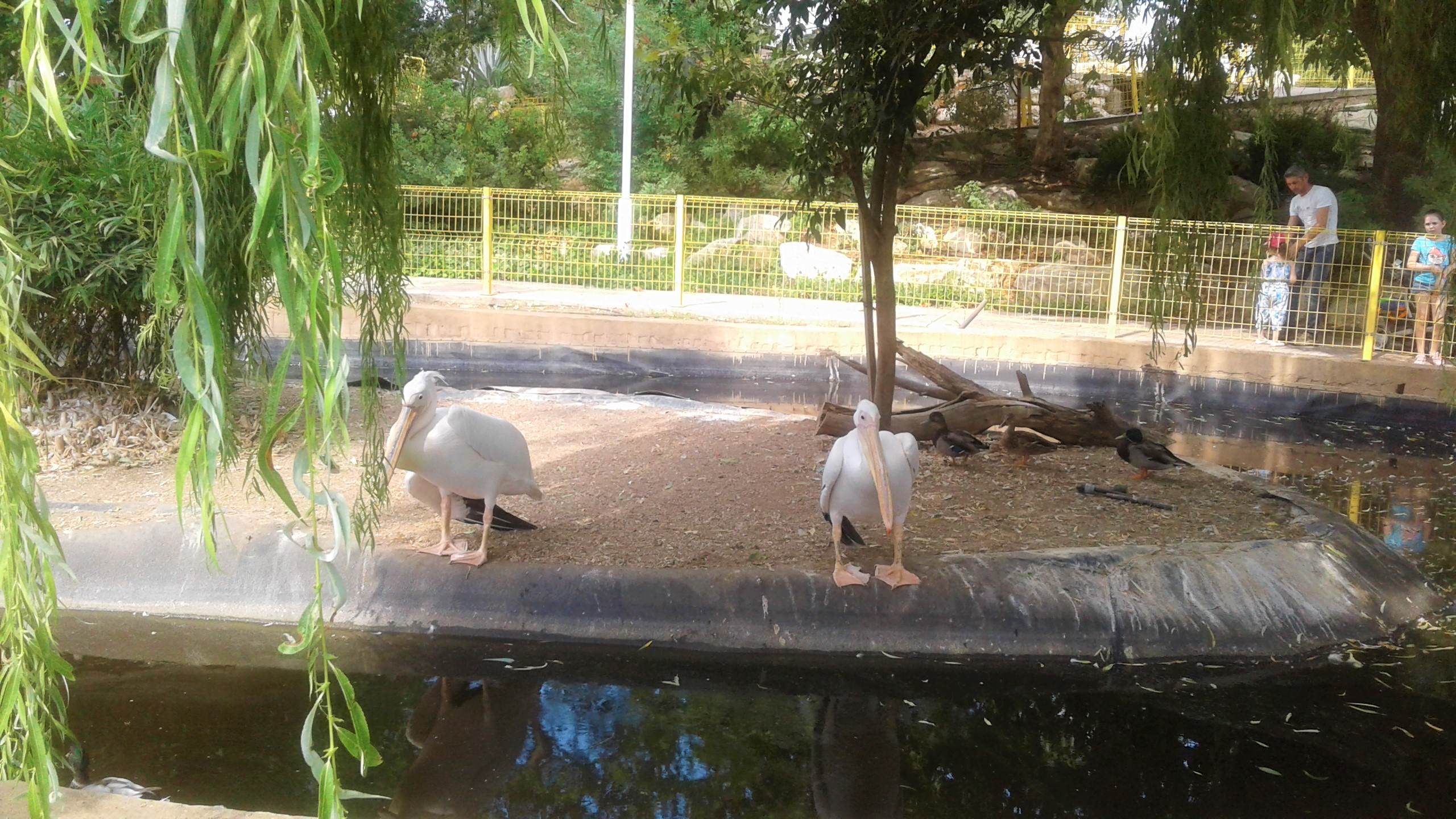 Зоопарк приглашает на каникулы в Песах